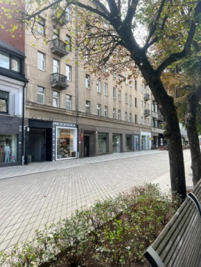 Arena apartment, Kaunas